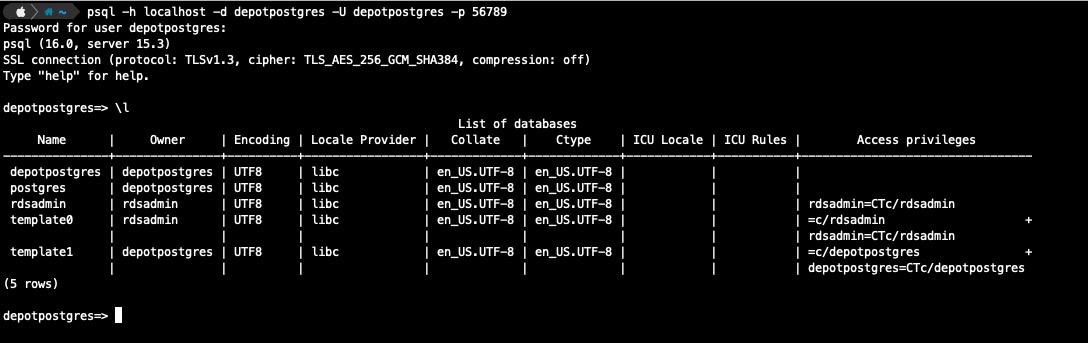 "Depot AWS SSM tunnel started and psql connected"